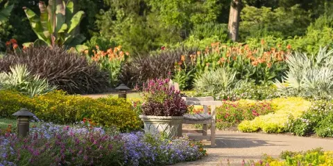 A paved garden path lined with vibrant purple, yellow, and orange flowers, featuring a wooden bench and a large potted plant in a botanical garden setting.