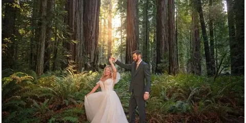 Bride and groom dancing in a redwood forest with tall trees and ferns