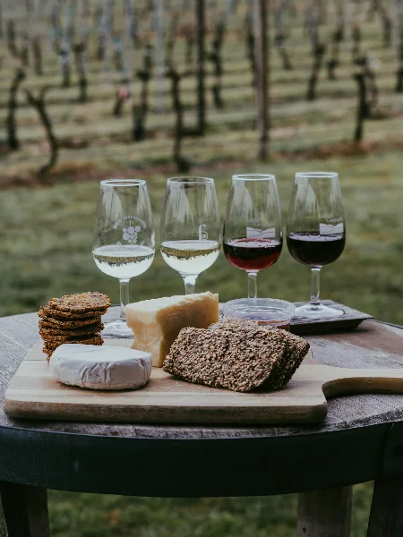 A table set outdoors in a vineyard with four glasses of white and red wine and a wooden board of cheese, crackers, and bread.
