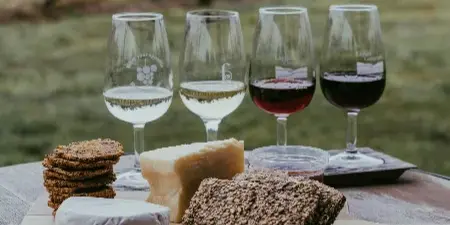 A table set outdoors in a vineyard with four glasses of white and red wine and a wooden board of cheese, crackers, and bread.