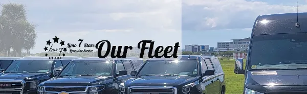 A fleet of black luxury SUVs and vans parked in a row at an airport.