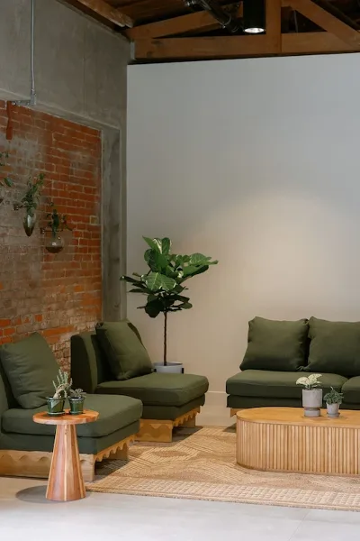 A modern event space featuring olive green velvet sofas, a wooden coffee table, and a potted fiddle leaf fig plant.