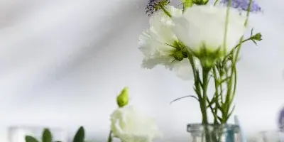 A floral arrangement featuring white lisianthus and purple scabiosa in a clear glass vase on a table.