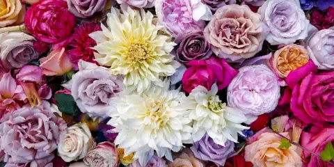 A close-up photograph of a dense floral arrangement featuring roses and dahlia flowers in shades of pink, purple, white, and red.