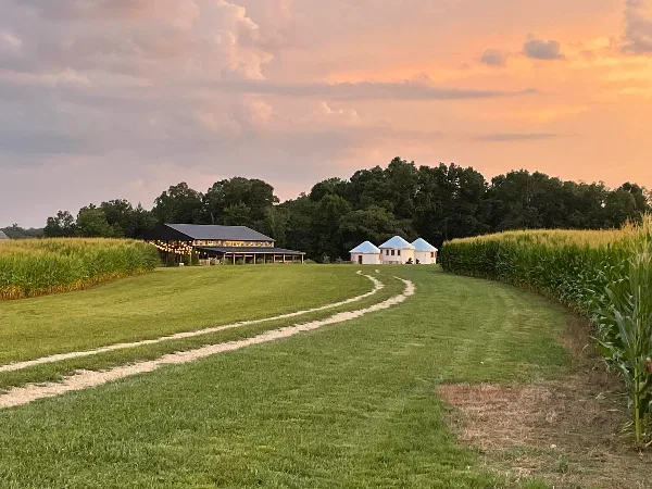 A wide shot of a farm venue at sunset, showing a large barn and three white grain silos in a grassy field bordered by corn.