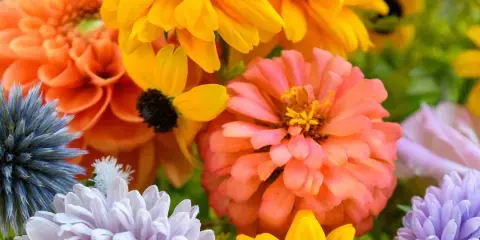 A colorful close-up of a floral arrangement with yellow sunflowers, pink zinnias, and purple chrysanthemums.