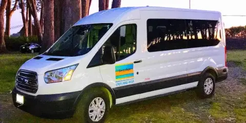 A white passenger van with Mendo Insider Tours branding parked on a grassy area near tall trees.
