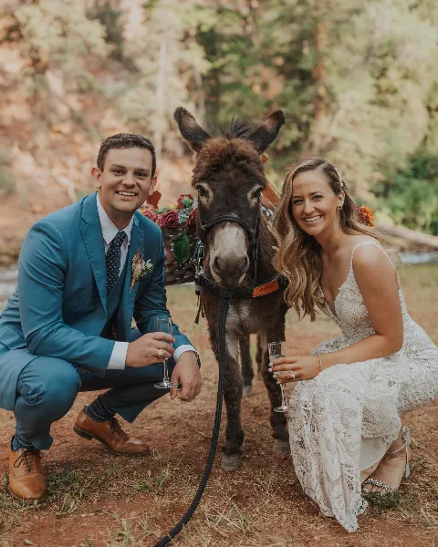 A bride and groom in wedding attire crouching outdoors with a donkey in a mountain landscape.