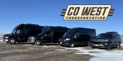 A lineup of black commercial vehicles including coaches, vans, and SUVs parked on a gravel lot under a blue sky.