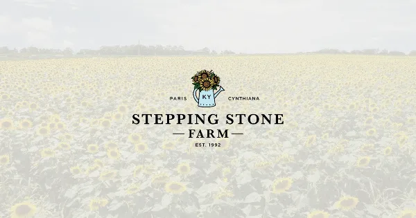 Sunflower field at Stepping Stone Farm with the business name overlaid