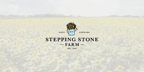 Sunflower field at Stepping Stone Farm with the business name overlaid