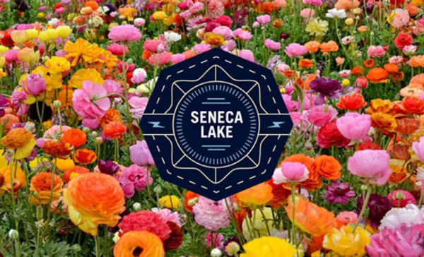 A field of colorful flowers with a Seneca Lake Design logo overlay