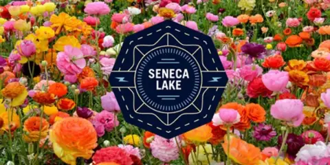 A field of colorful flowers with a Seneca Lake Design logo overlay