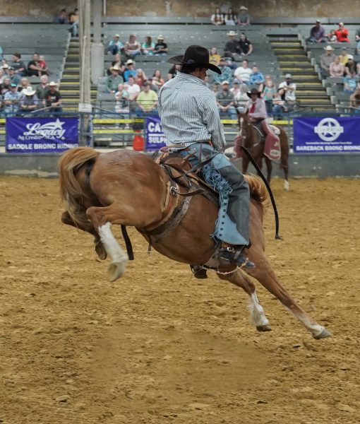 A cowboy riding a bucking horse in an indoor arena with spectators in the stands.