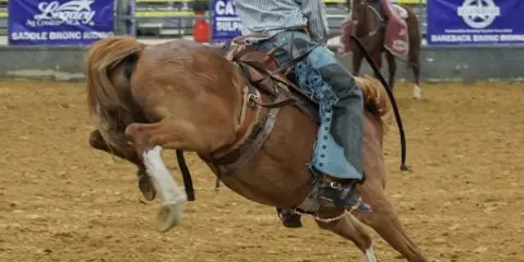 A cowboy riding a bucking horse in an indoor arena with spectators in the stands.