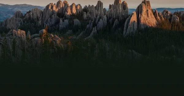 Granite mountain spires and pine forest in the Black Hills at sunset