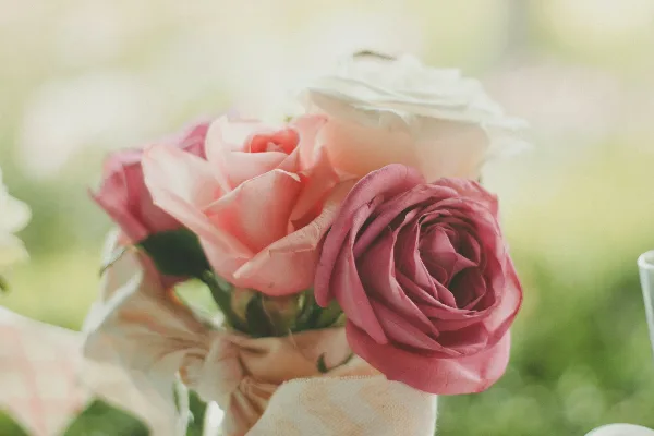 A close-up photograph of a floral arrangement featuring pink and white roses wrapped in fabric.