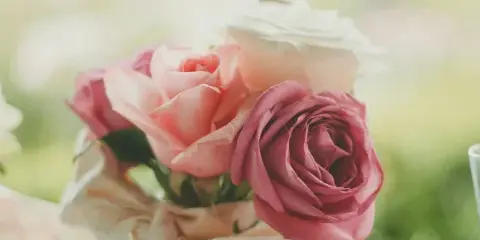 A close-up photograph of a floral arrangement featuring pink and white roses wrapped in fabric.