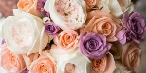 A close-up photograph of a round bridal bouquet composed of peach, cream, and purple roses and garden roses.