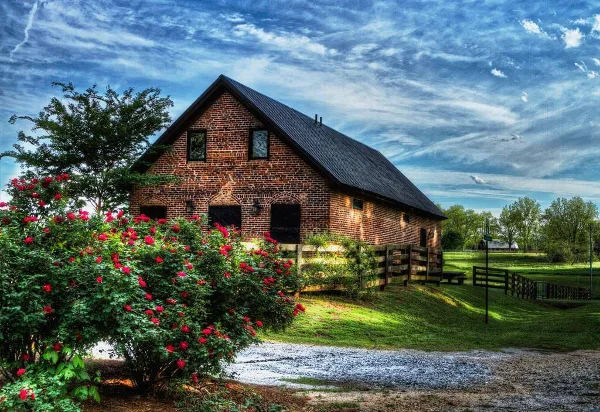 Exterior view of a historic red brick barn with a black metal roof, surrounded by green grass, a wooden fence, and blooming red rose bushes under a blue sky.
