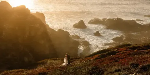 A bride and groom standing on a grassy cliff overlooking the ocean at sunset.