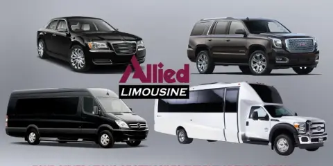 Allied Limousine fleet showing a sedan, SUV, passenger van, and shuttle bus.