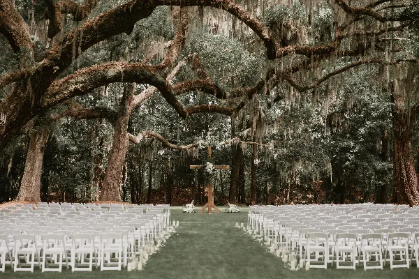 Wedding ceremony setup with white chairs and an altar under a large live oak tree with Spanish moss.