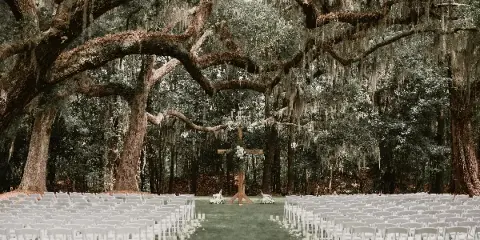 Wedding ceremony setup with white chairs and an altar under a large live oak tree with Spanish moss.
