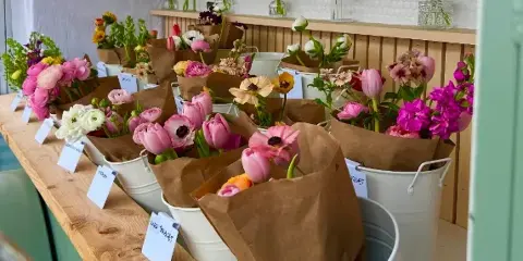 A flower farm stand displaying colorful bouquets in white buckets with the 'little petals' logo on the wall.