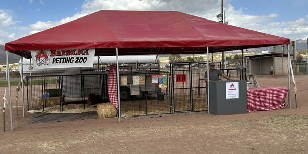 A red canopy tent labeled 'Petting Zoo' set up on the fairgrounds with animal enclosures and hay bales visible.