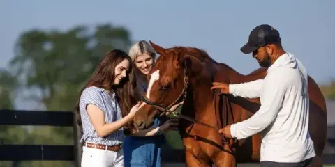 A guide and two guests interacting with a brown horse at a farm.