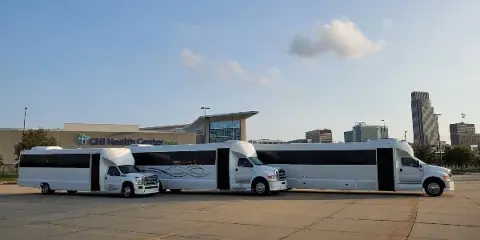 Three white party buses parked in a row in a paved lot during the day.