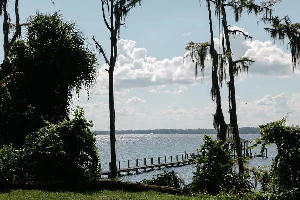 A scenic view of a river with a wooden dock and Spanish moss hanging from trees.
