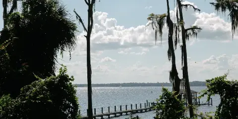 A scenic view of a river with a wooden dock and Spanish moss hanging from trees.