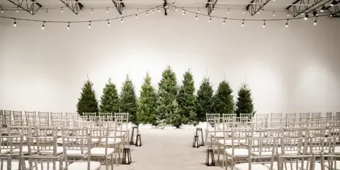 A wedding ceremony setup with rows of white chairs facing a backdrop of evergreen trees and string lights.